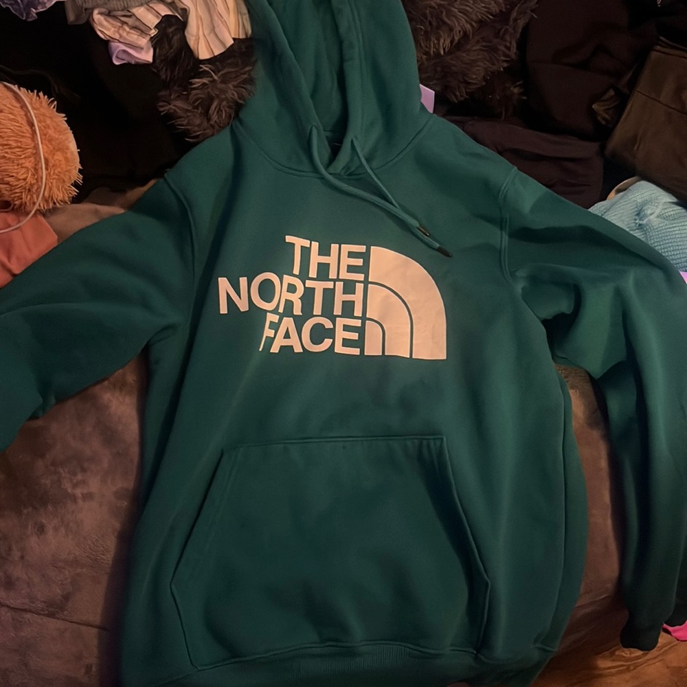 turquoise northface sweatshirt